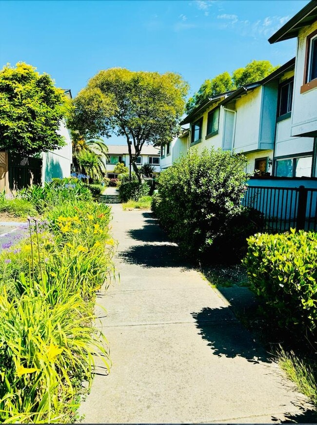 Building Photo - 4344 Bel Estos Way