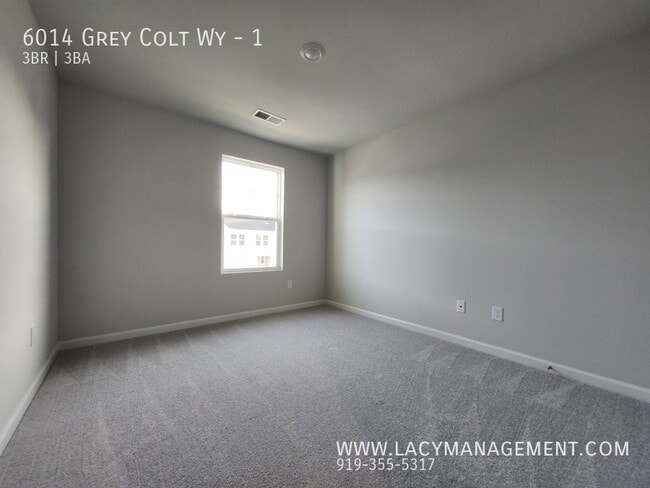 Building Photo - 6014 Grey Colt Wy