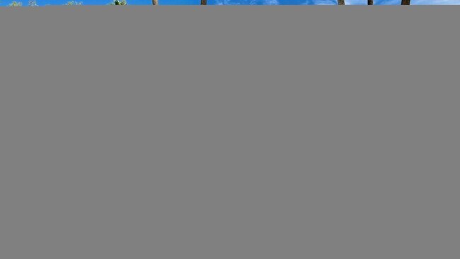 Building Photo - 5337 E Thunderbird Rd