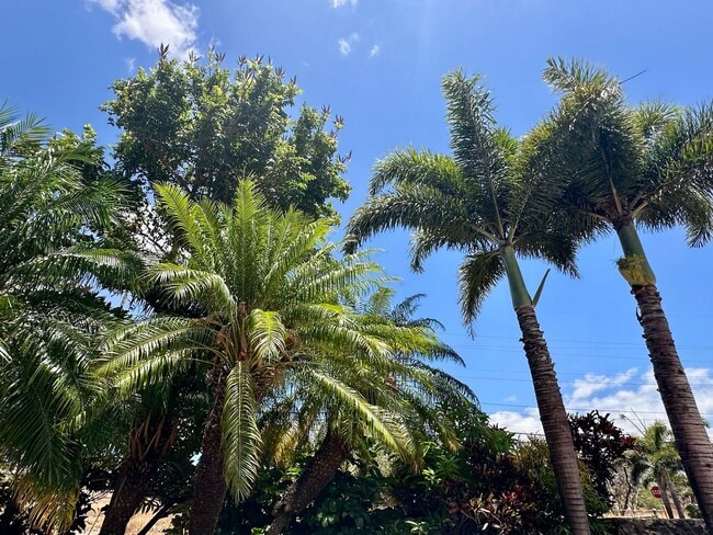 Building Photo - Spacious Home Close to Beaches, Shopping and More in South Maui!