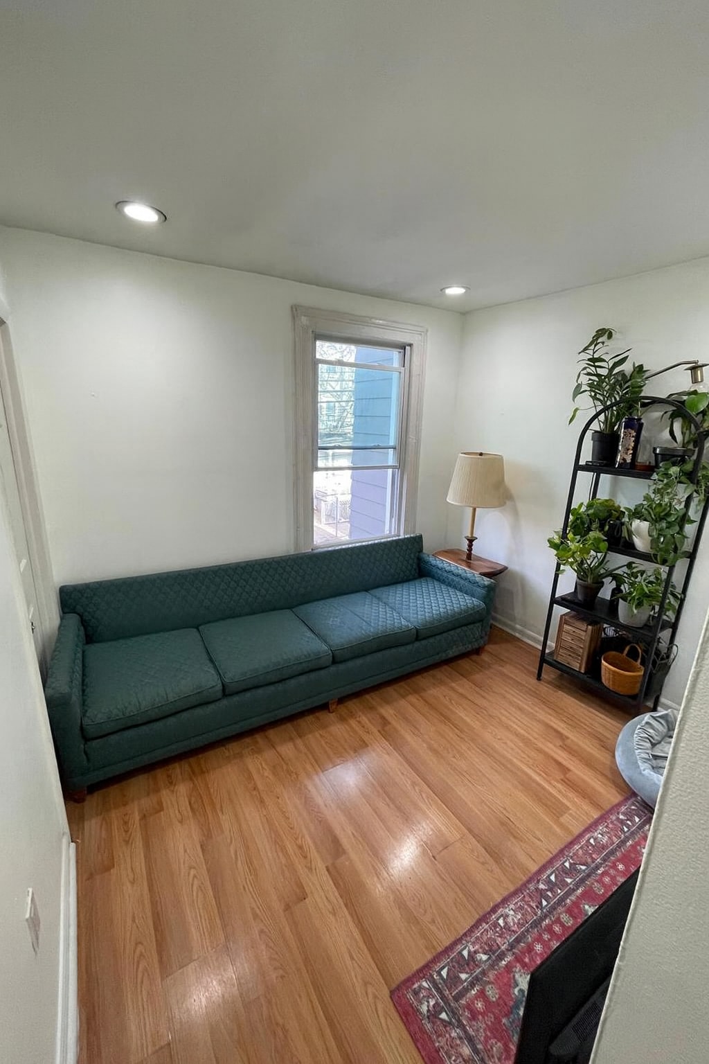 Living room - 85 Laidlaw Ave