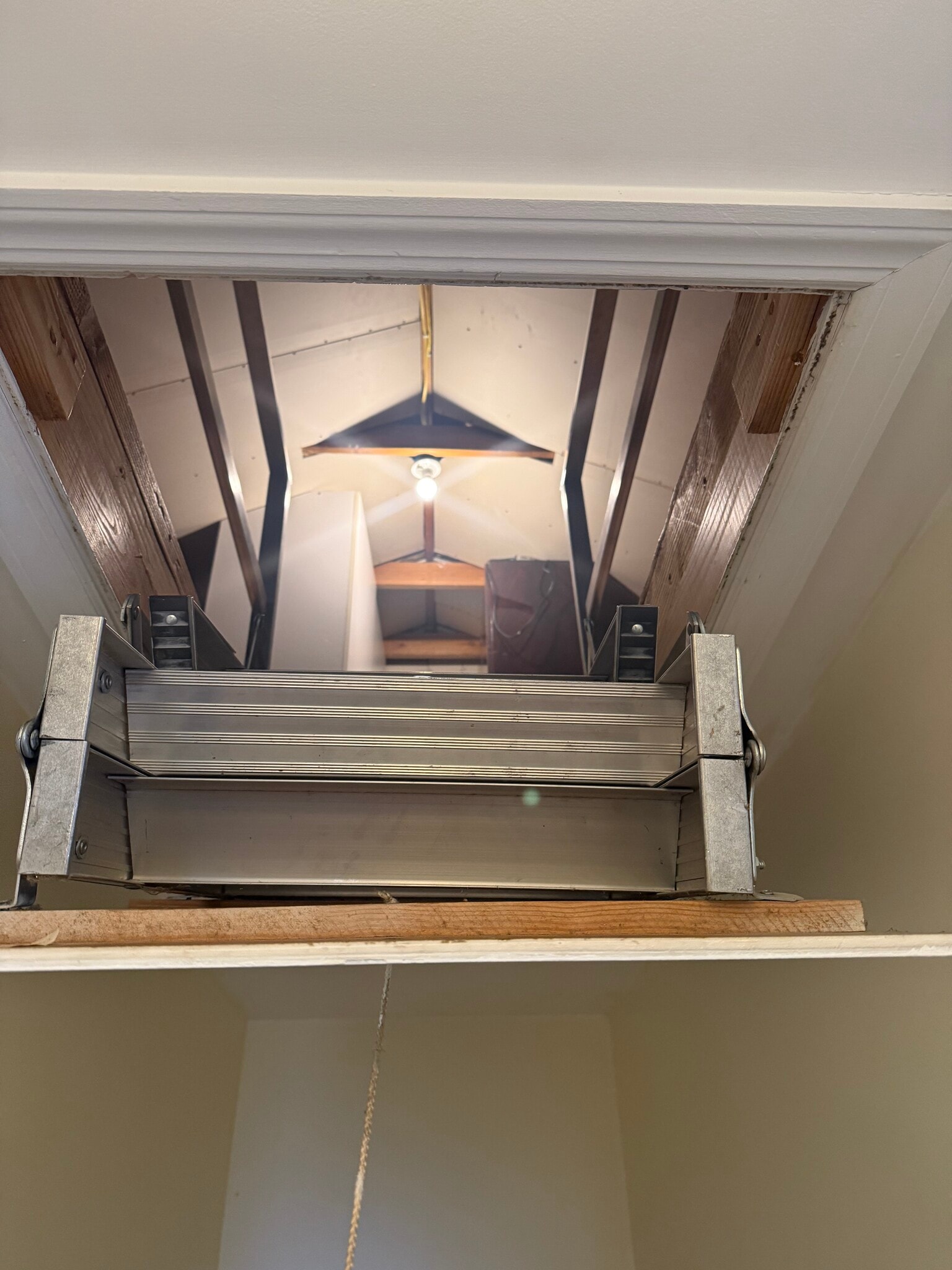 Building Photo - 284 Semton Blvd