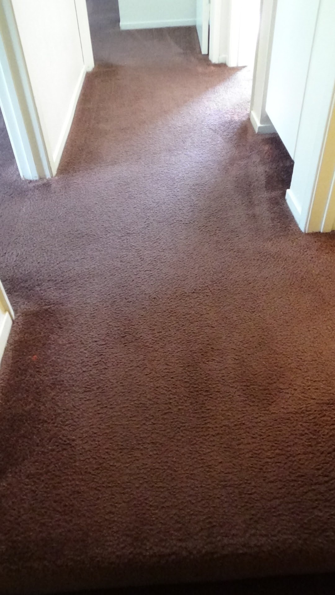 Building Photo - 1117 Seabreeze Way