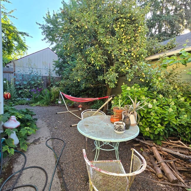 side yard in summer - 555 N Simpson St