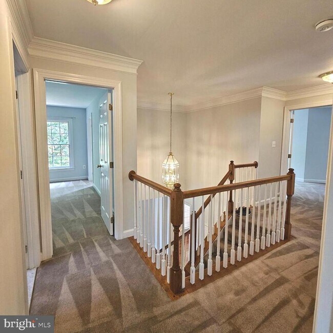 Building Photo - 5267 Tractor Ln