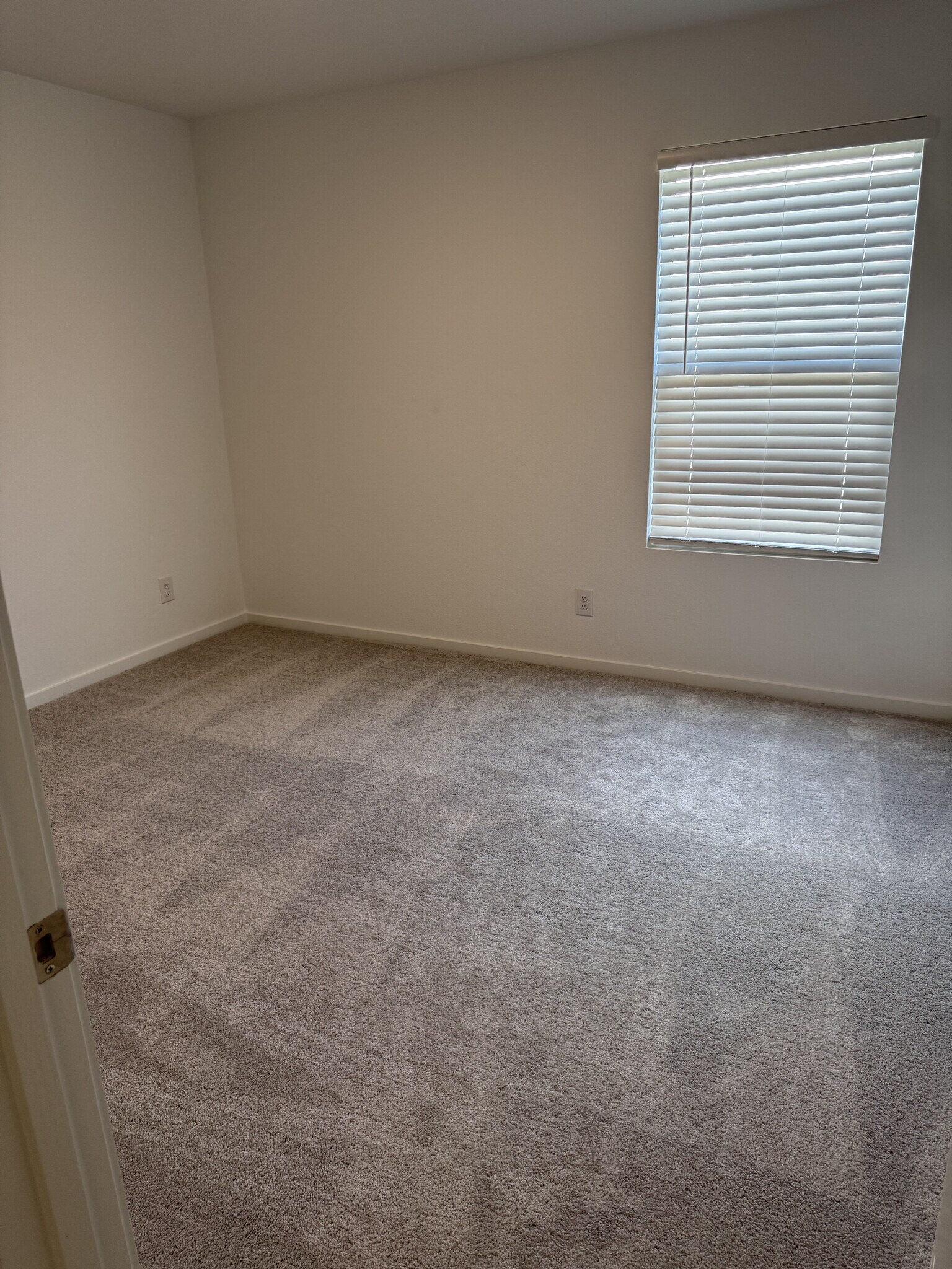 Bedroom 3 - 1355 Wedgeleaf Ln