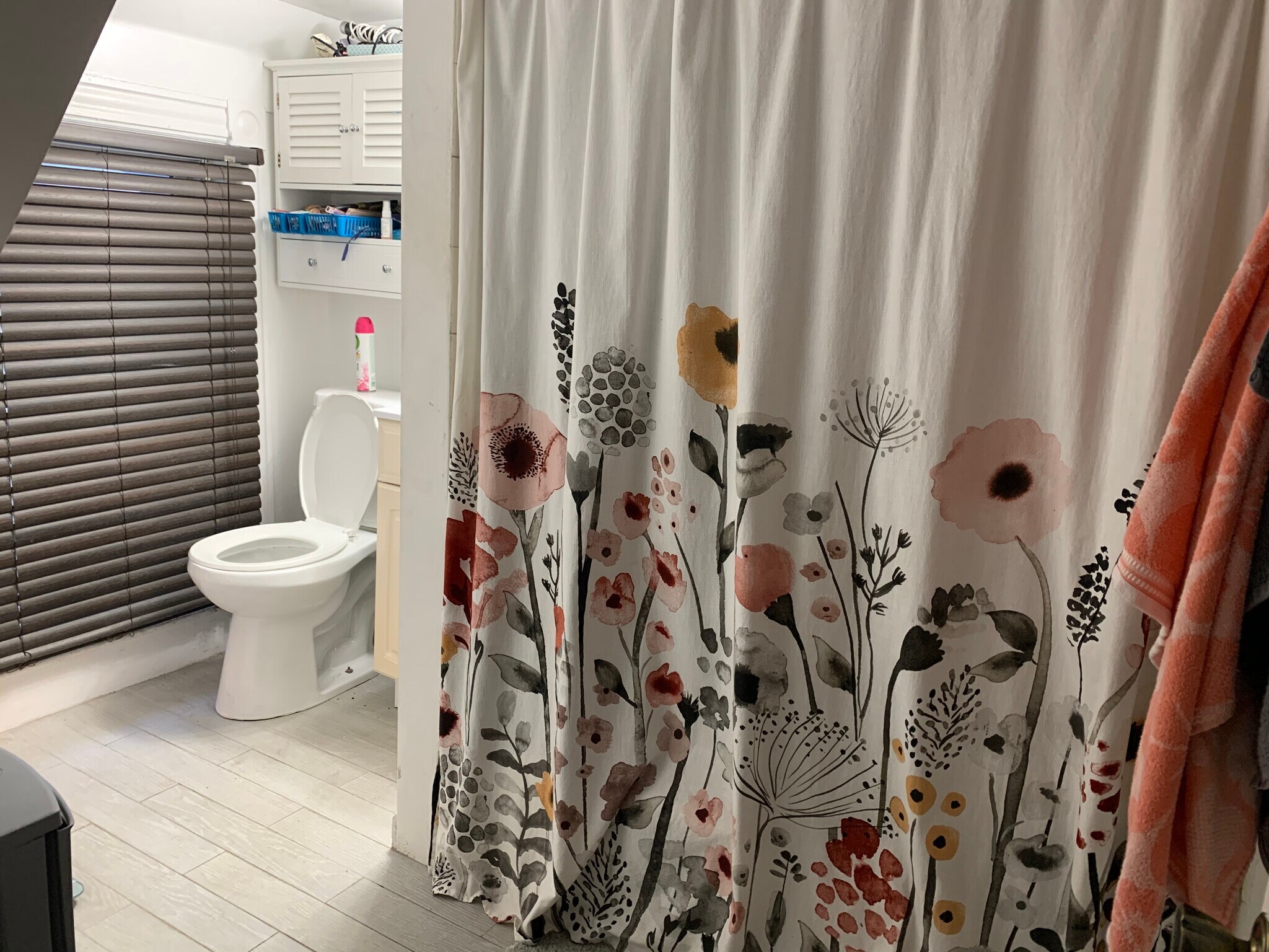 Building Photo - 16 Falkland St