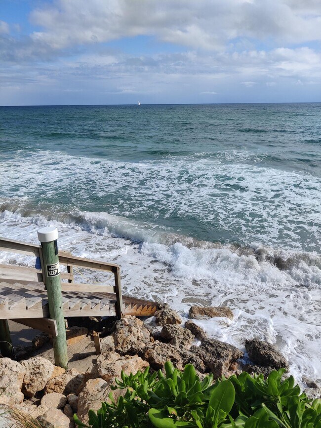 Building Photo - 4200 S Ocean Blvd