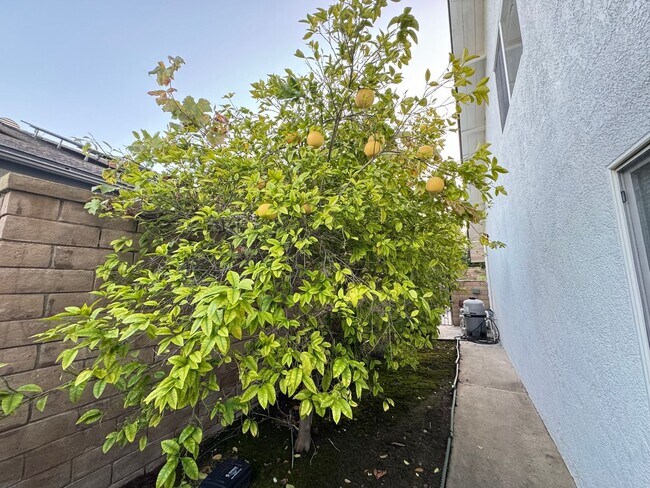 Building Photo - Stunning 5Bd/3.5Ba Home in Laguna Hills with a Pool and Elevator!