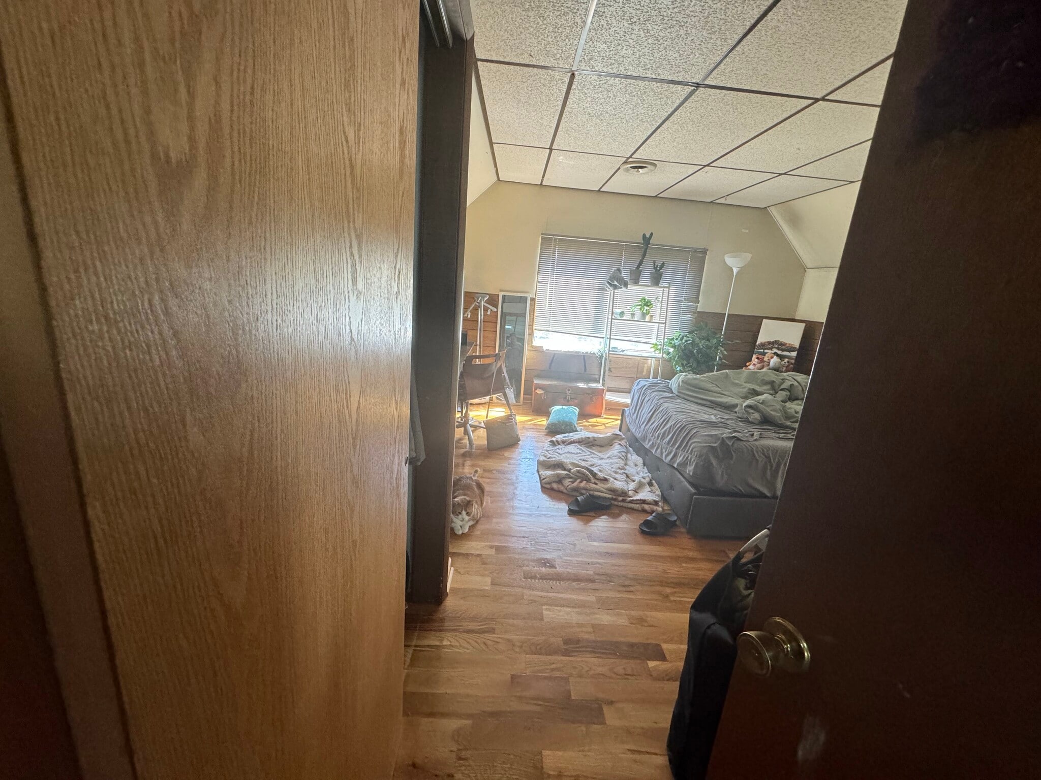 Building Photo - 2621 N Maryland Ave