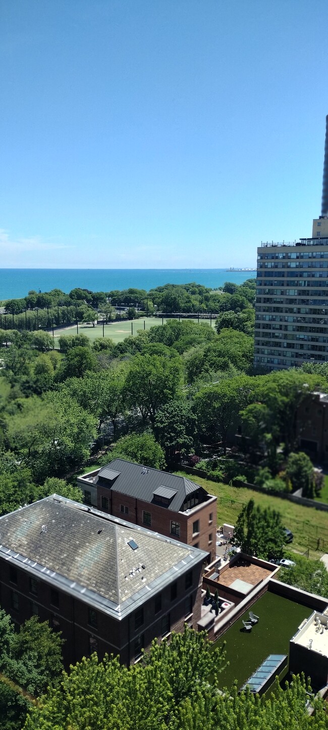 Building Photo - 3100 N Lake Shore Dr