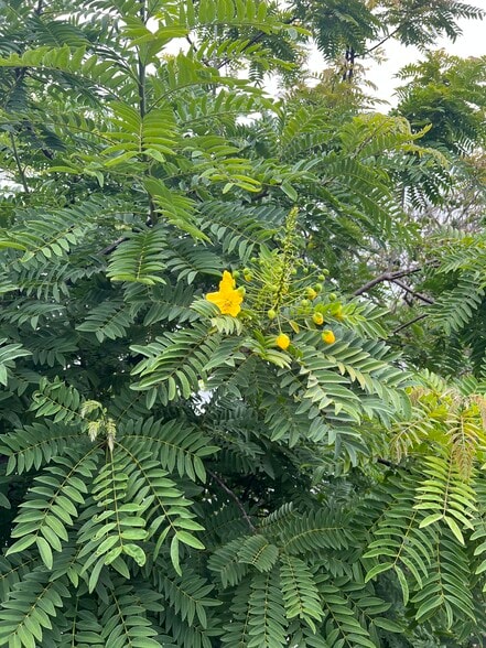 Building Photo - 12 Coach Rd