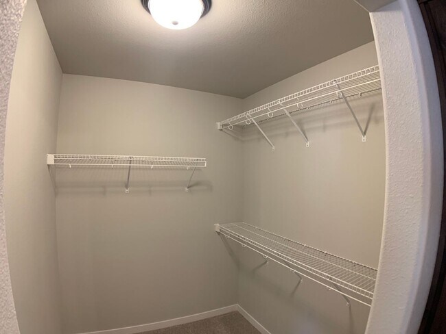 Building Photo - 4 Bed 3 Bath Single Family Home
