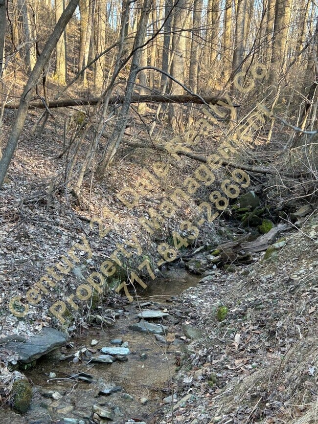 Building Photo - Large 3 Bedroom, 2 Bath Pet friendly home with off street parking and a 600sqft detached garage