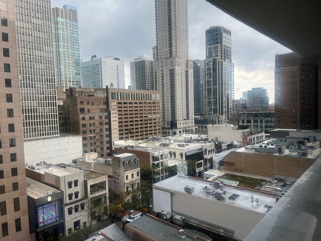 Building Photo - 1000 N Lake Shore Dr