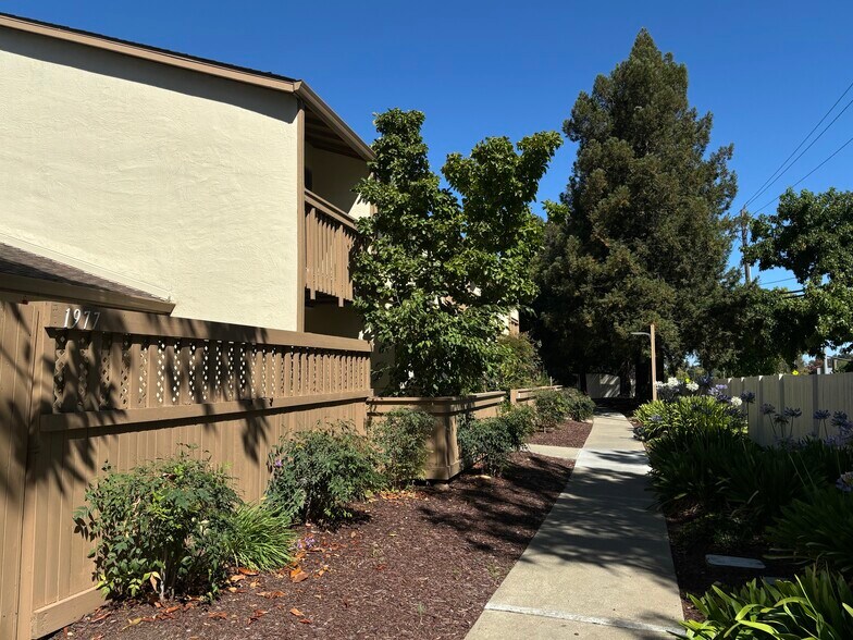 Building Photo - 1975 Olmo Way