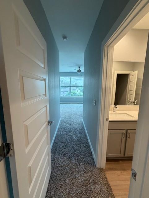 Building Photo - 11427 Pastini Cir