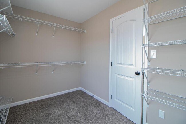 Building Photo - 502 Low Country Ct