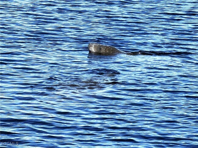 Building Photo - 131 SW 47th Terrace