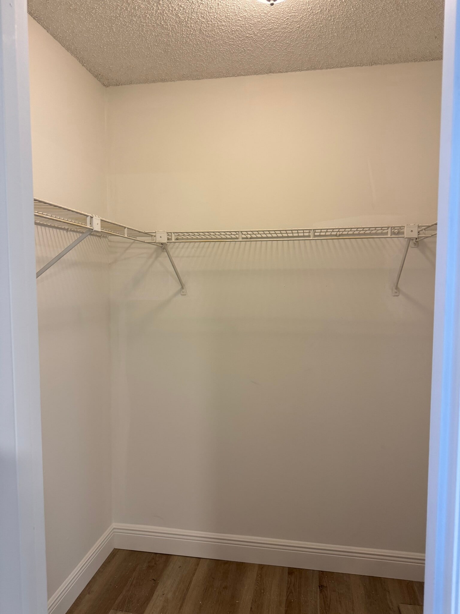 Building Photo - 2009 Oleander Blvd