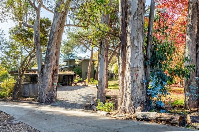 Building Photo - Upper Westside / Close to UCSC