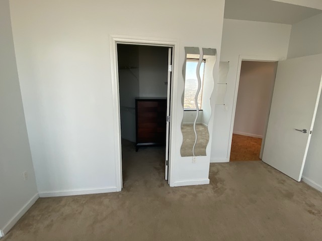 Primary Walk-in Closet - 1100 Wilshire Blvd