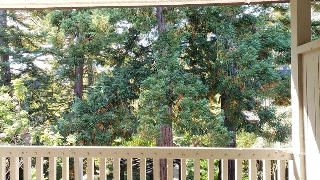 Building Photo - Cozy Studio Condo Available Now at Shelter Creek!