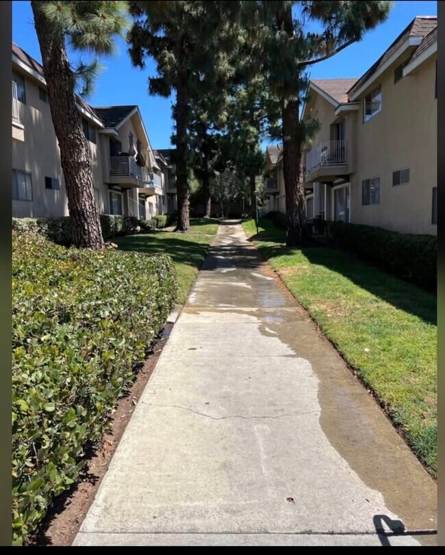 Walk way to unit - 4475 Dale Ave