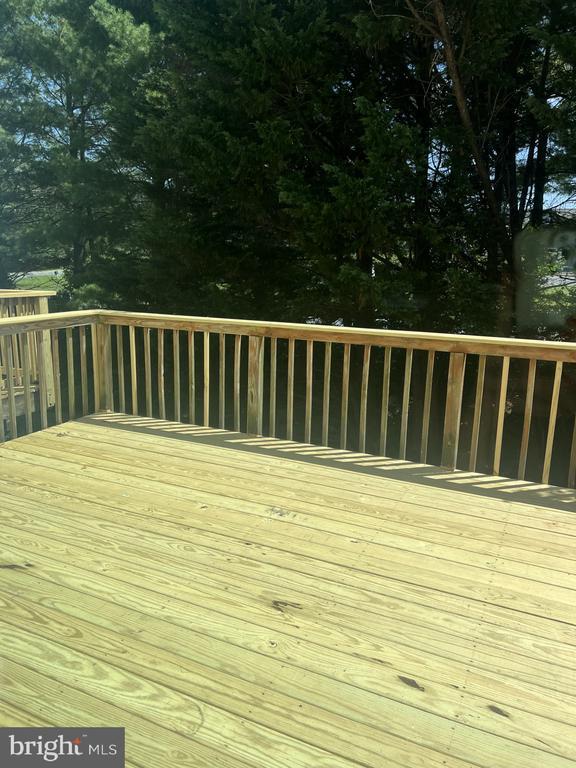 Building Photo - 1208 Athens Ct