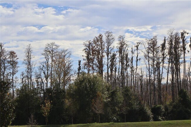 Building Photo - 16310 Bird of Paradise Ave