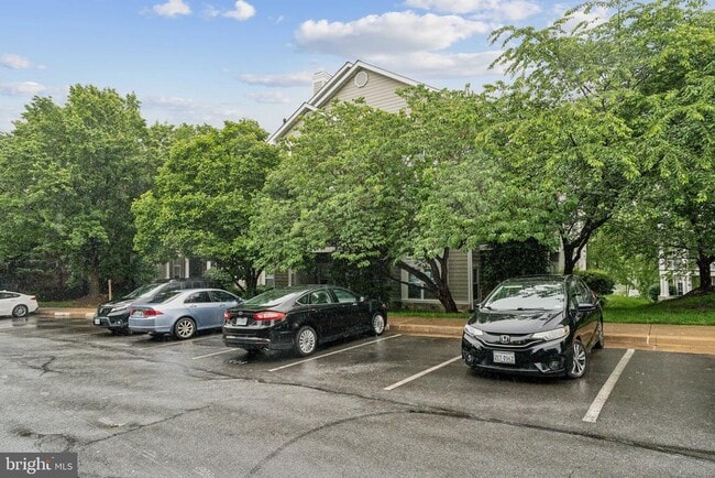 Building Photo - 1708 Lake Shore Crest Dr