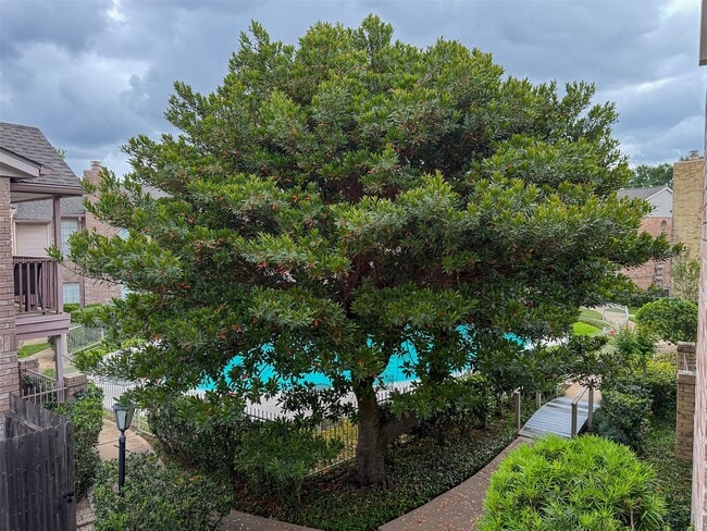 Building Photo - 3100 Jeanetta St