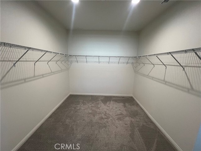 Building Photo - 28303 Blackjack Dr