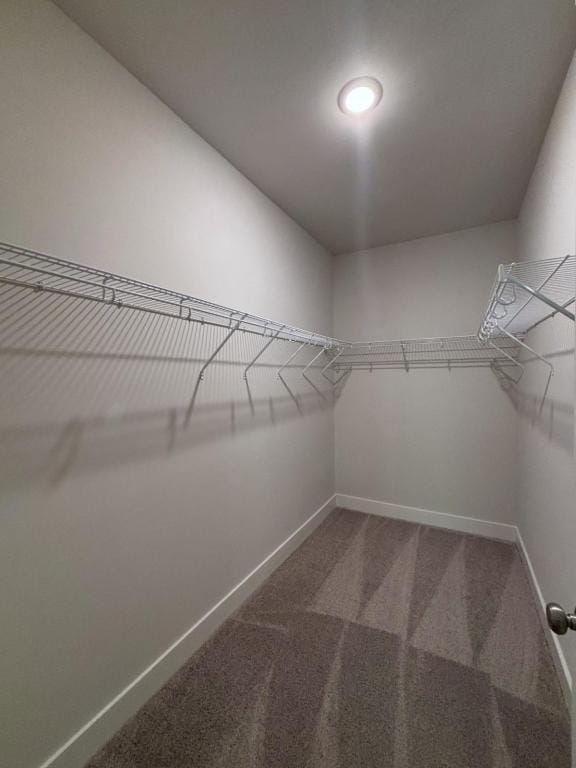 Building Photo - 4421 Whitetail Path Cove