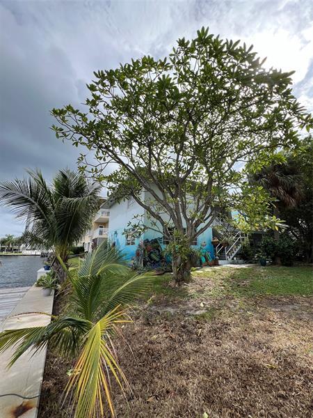 Building Photo - 3111 NE 29th St