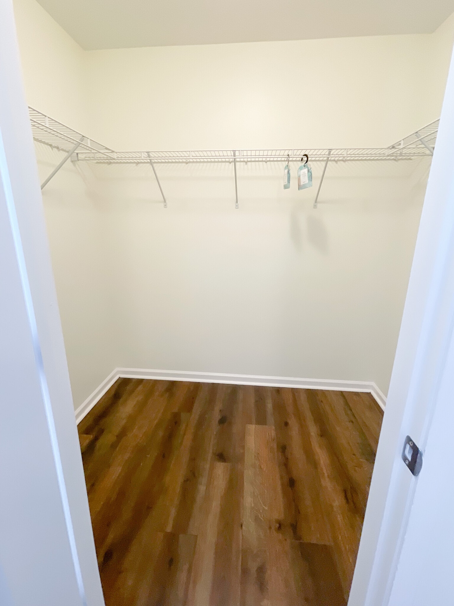 Bedroom 3 walk-in closet - 10205 Sam Meeks Rd