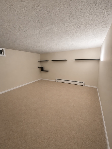 Basement - 9517 Donnan Castle Ct