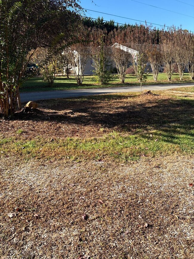 Building Photo - Quiet home close to Asheville