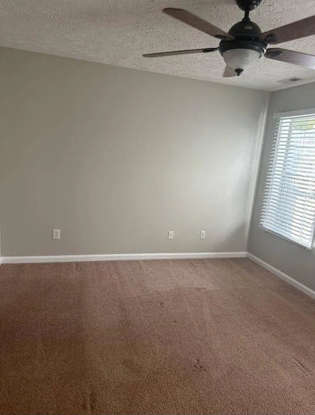 Building Photo - 360 Bubble Creek Ct