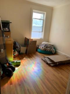 Spare Room - 197 Standish Ave