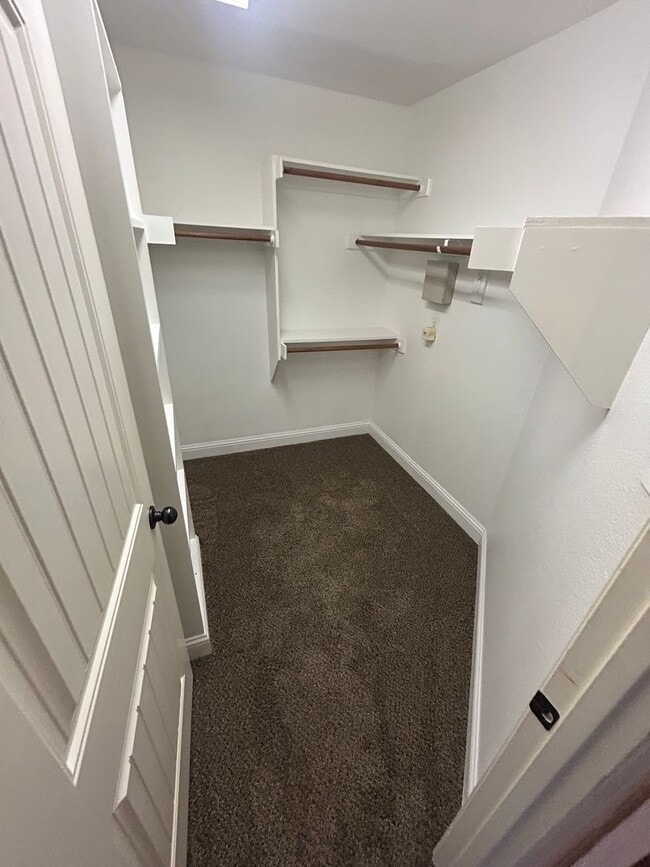 Building Photo - 1305 Halcyon Pl