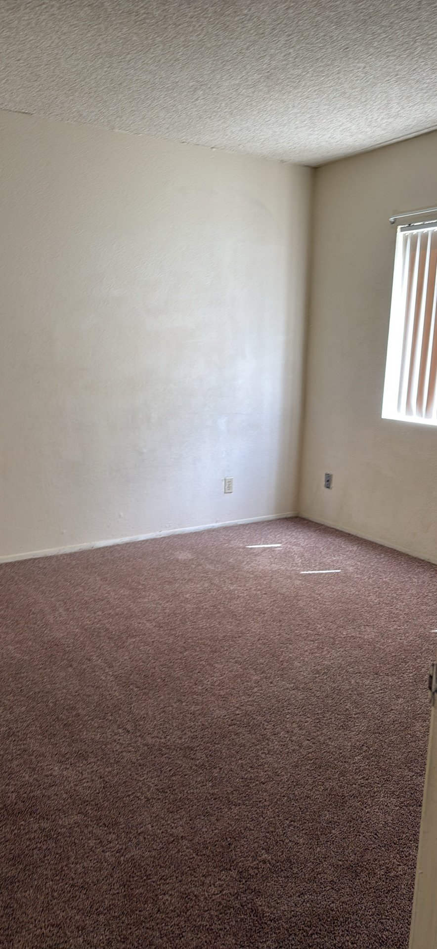 Building Photo - 3854 46th St