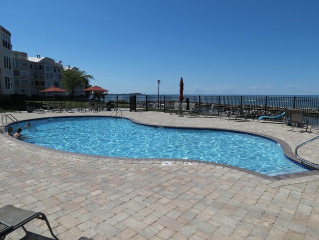 Swimming Pool - 1507 Cleveland Rd E