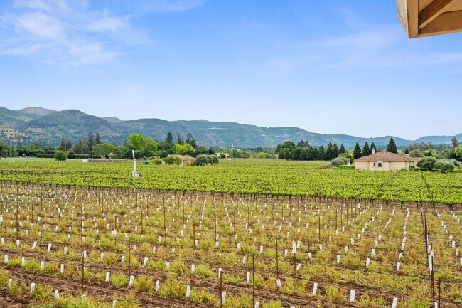 Building Photo - 2 Bedroom, 2 Bath Home with Vineyard Views on a Gated 11-Acre Property