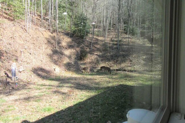 Building Photo - 121 Sawmill Springs Rd