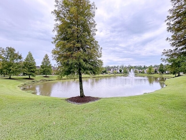 Building Photo - 4 Bedroom Home in The Preserve at Harveston