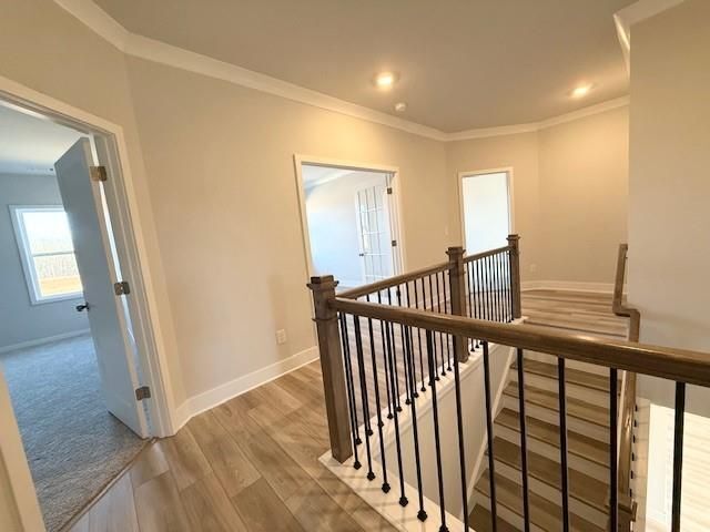 Building Photo - 114 Brandle Rose Wy