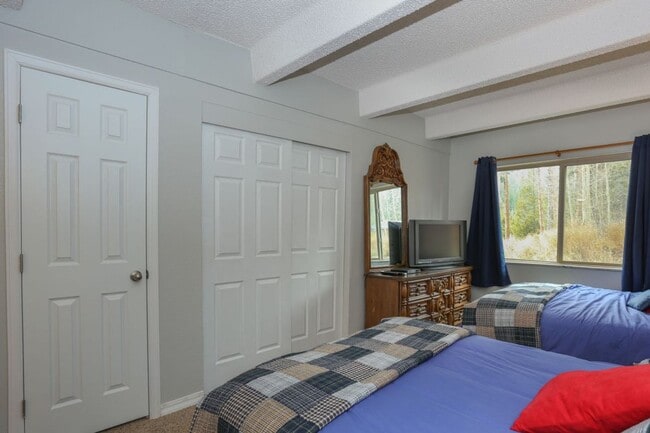 Building Photo - 2 bed, 2 bath in Breckenridge! Winter seas...