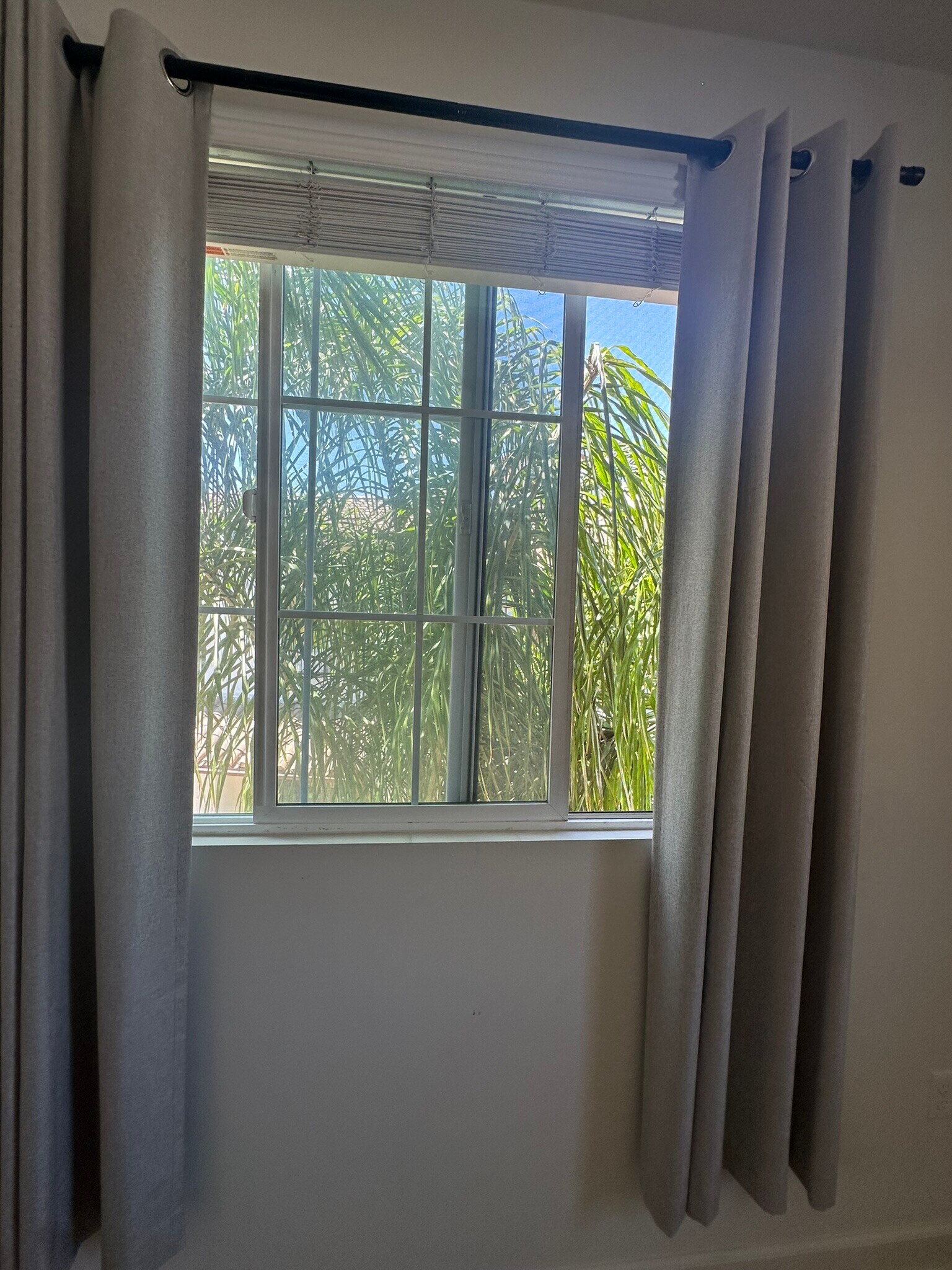 Window 2 in master bedroom, facing building across the way with palm tree for privacy - 130 N Garden St