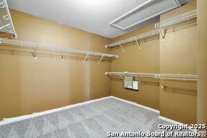 Building Photo - 1123 Cougar Country